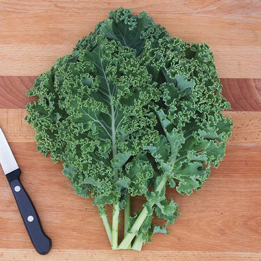 Curly Kale