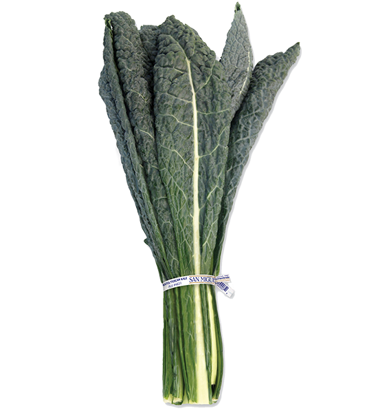 Lacinato Kale – Organic