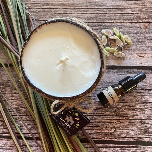 Elephant Coexistence Candle - Real - Food.shop