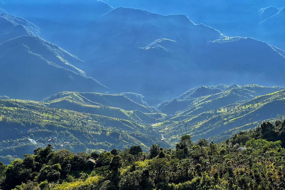 Thai High Altitude Arabica Coffee, Espresso medium roast 250g - Real - Food.shop