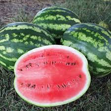 Watermelon Organic, locally grown 3 to 3.5 kg - Real - Food.shop