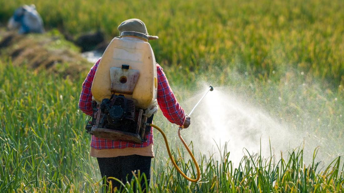 Is Glyphosate used in Thailand ? - Real-Food.shop