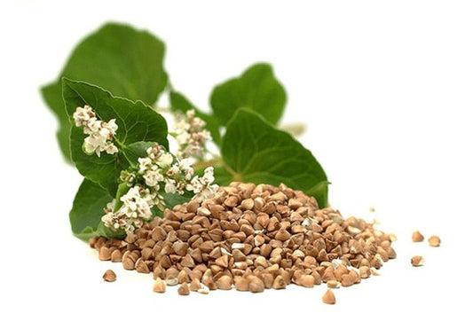 Unveiling the Health Benefits of Organic Buckwheat - Real-Food.shop