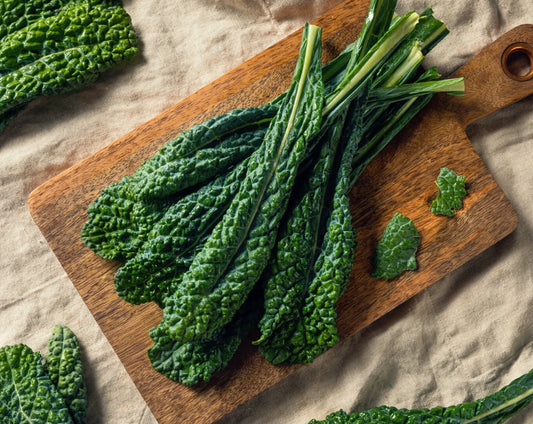 Lacinato Kale – Organic
