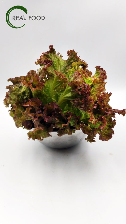 Batavia, Red, Lettuce, organic, ca. 500 g, Salad - Real - Food.shop