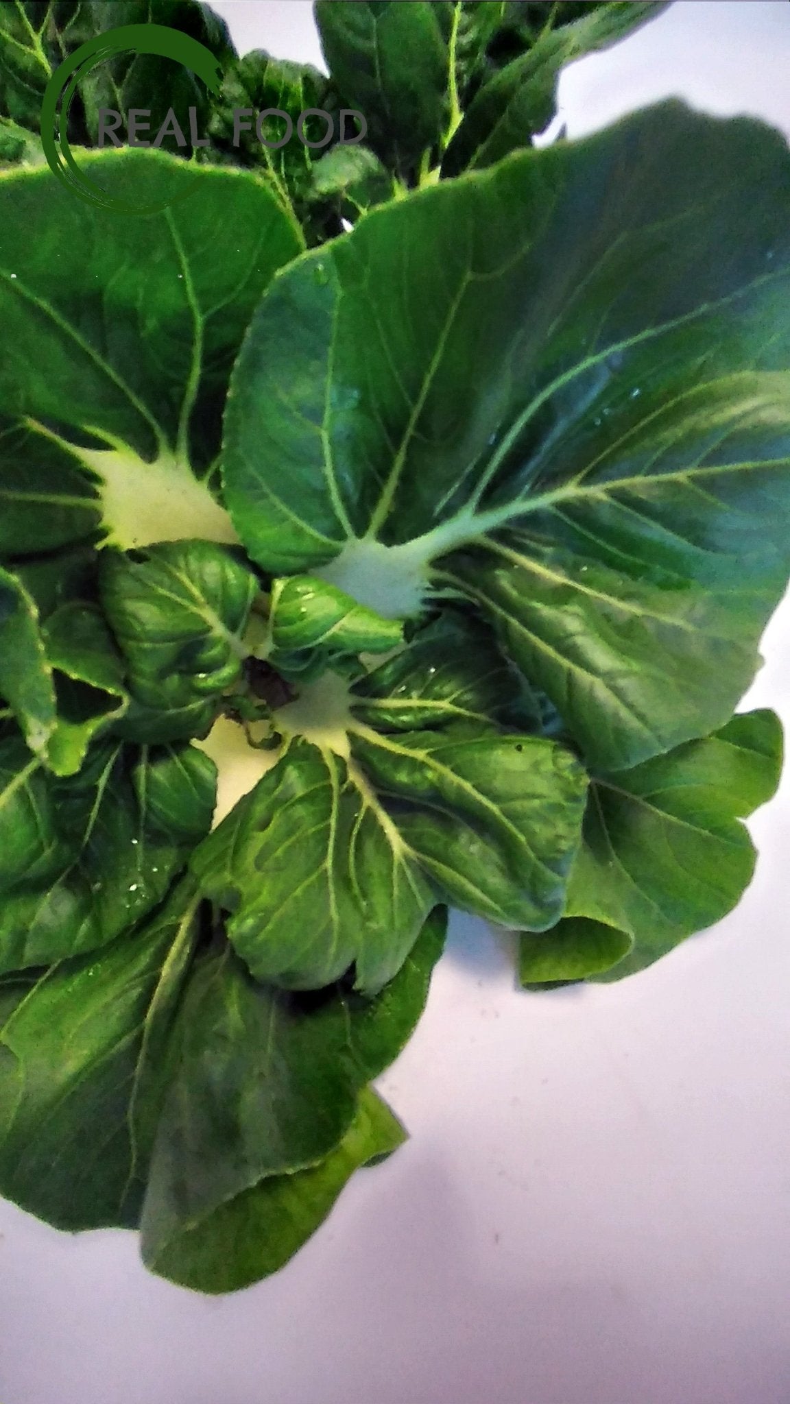 Bok Choy, Organic, Thai - Real - Food.shop