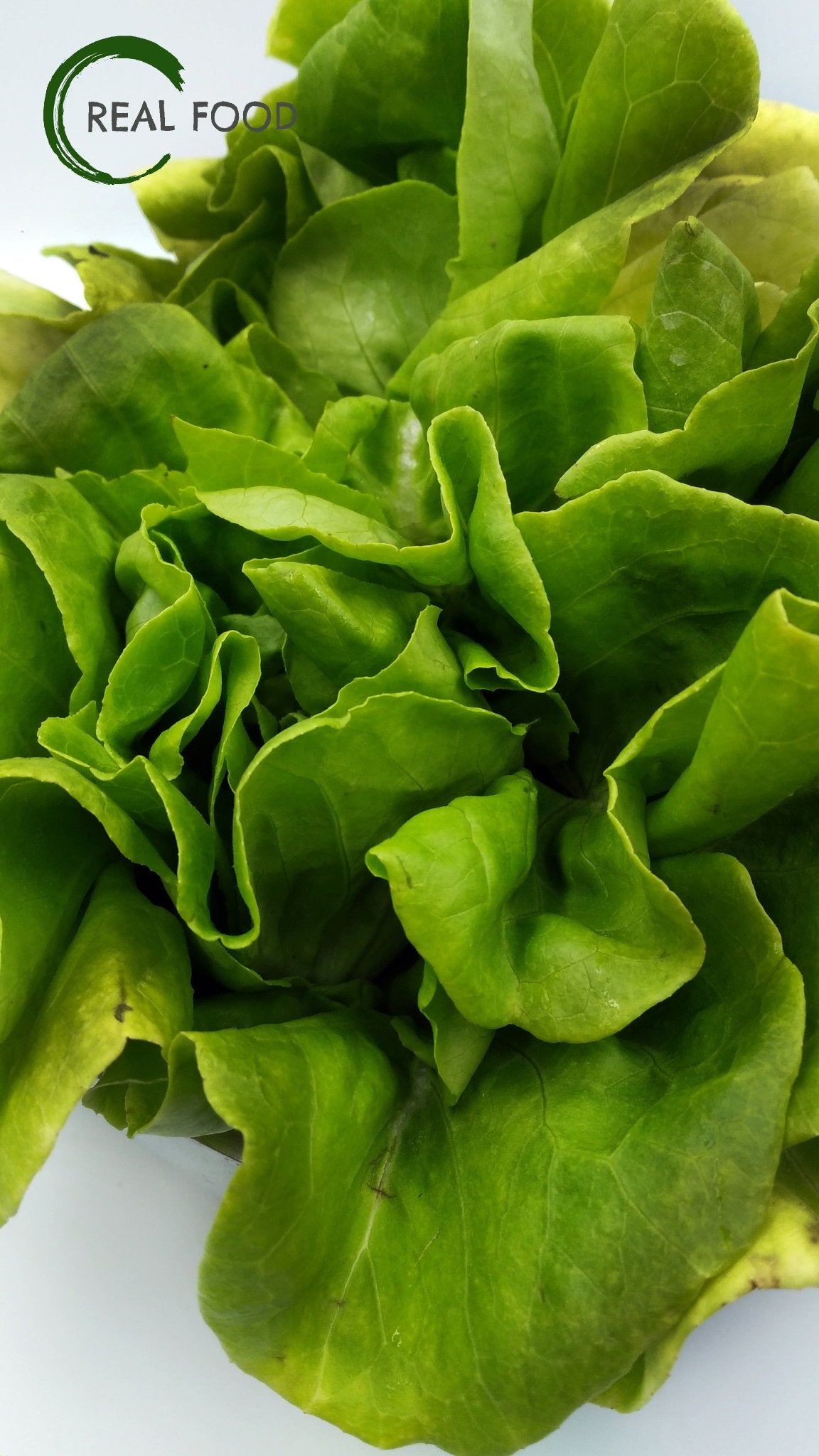 Butterhead, Lettuce, Organic - Real - Food.shop