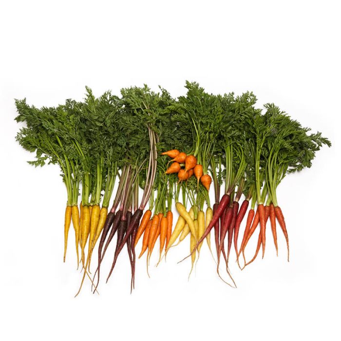 Carrots, Heirloom, Baby, Mixed, Organic, - Real - Food.shop