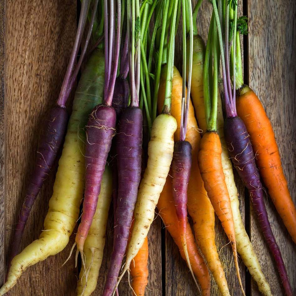 Carrots, Heirloom, Rainbow mix, Organic, ca. 200 g - Real - Food.shop