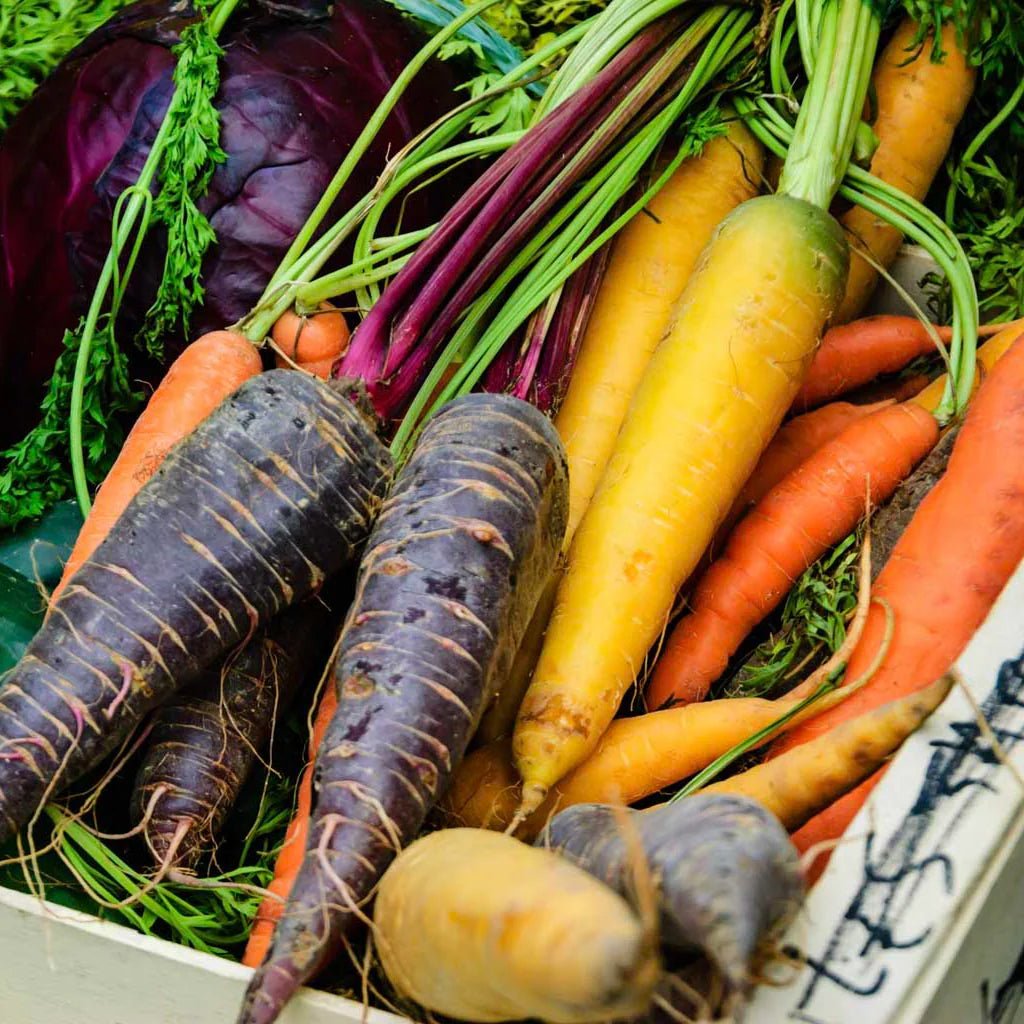 Carrots, Heirloom, Rainbow mix, Organic, ca. 200 g - Real - Food.shop