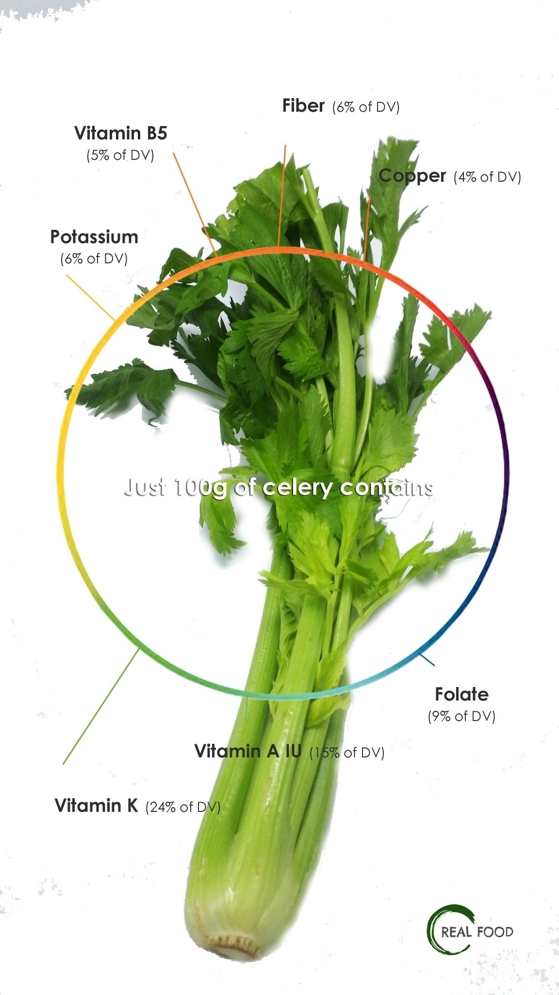 Celery, organic, 1 pc. ca. 200 g - Real - Food.shop