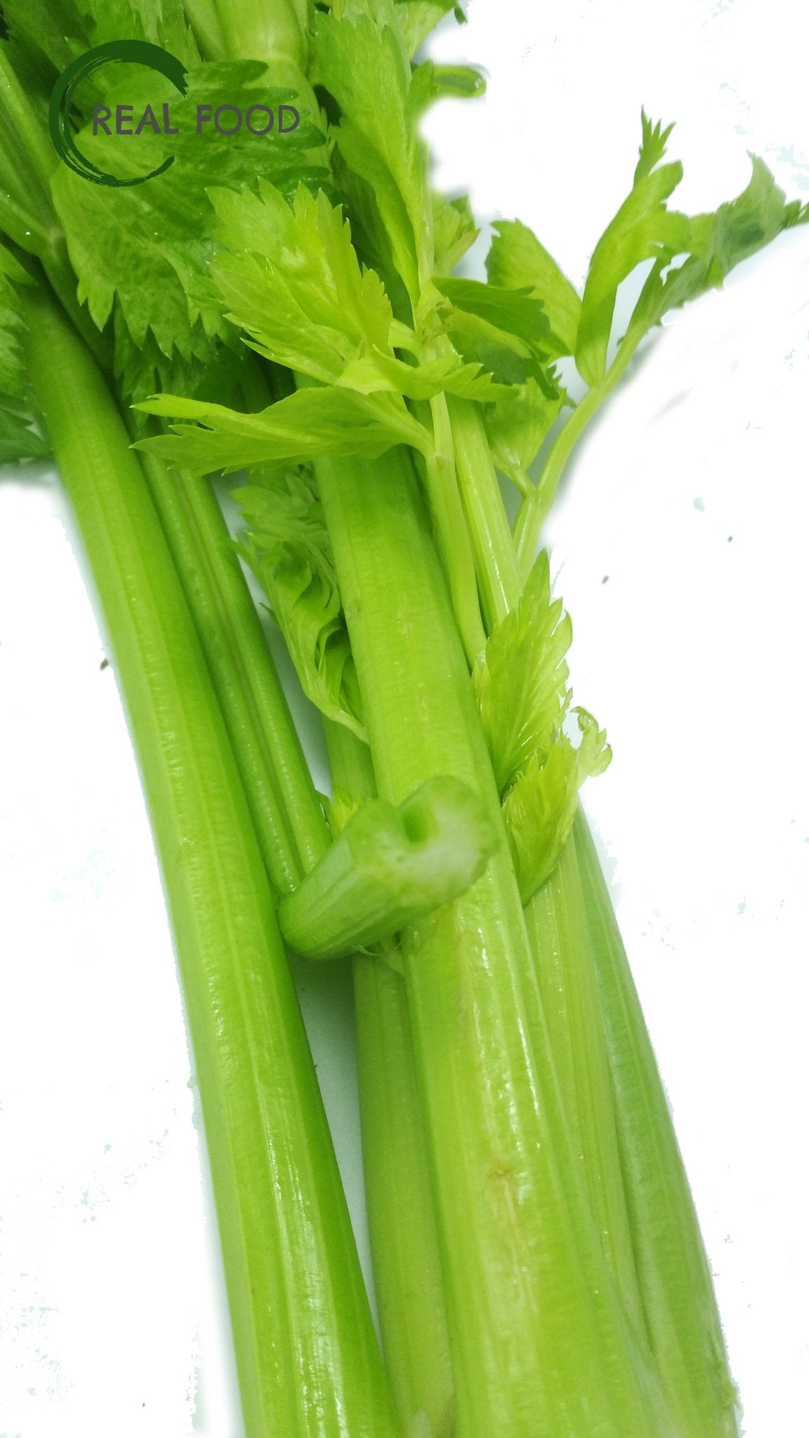 Celery, organic, 1 pc. ca. 200 g - Real - Food.shop