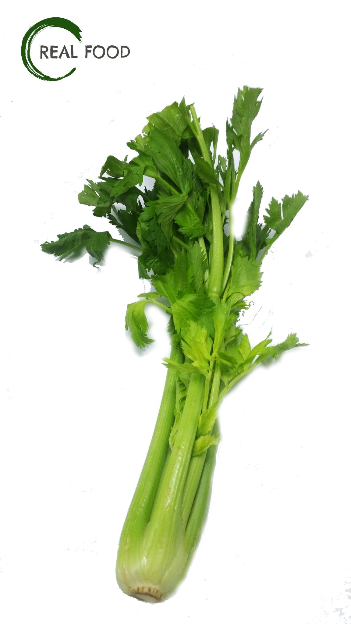 Celery, organic, 1 pc. ca. 200 g - Real - Food.shop