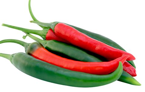 Chillies, thai, organic, medium size, medium, hot, ca. 200 g - Real - Food.shop