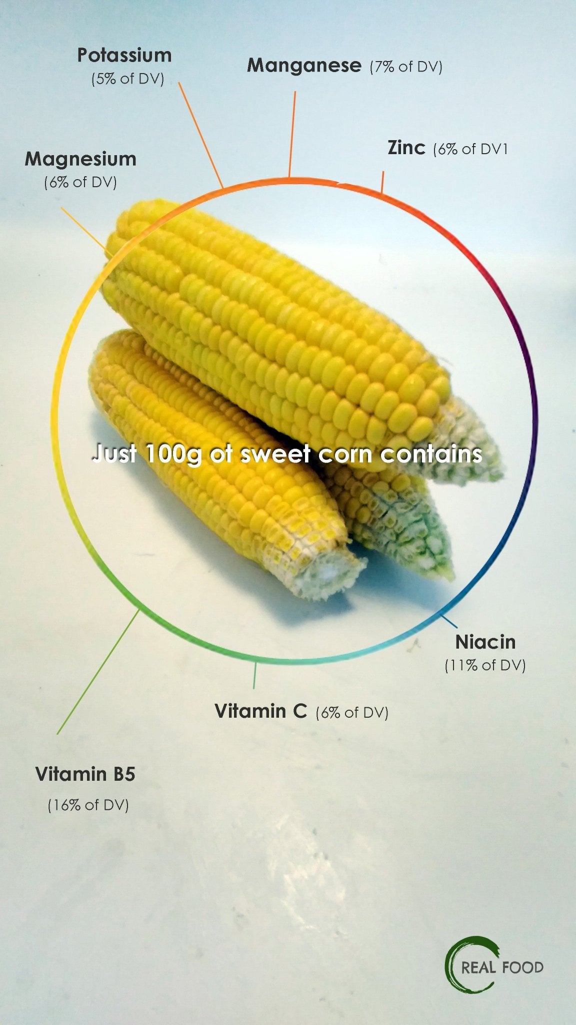 Corn sweet, organic, 1 pc. ca. 500 g - Real - Food.shop