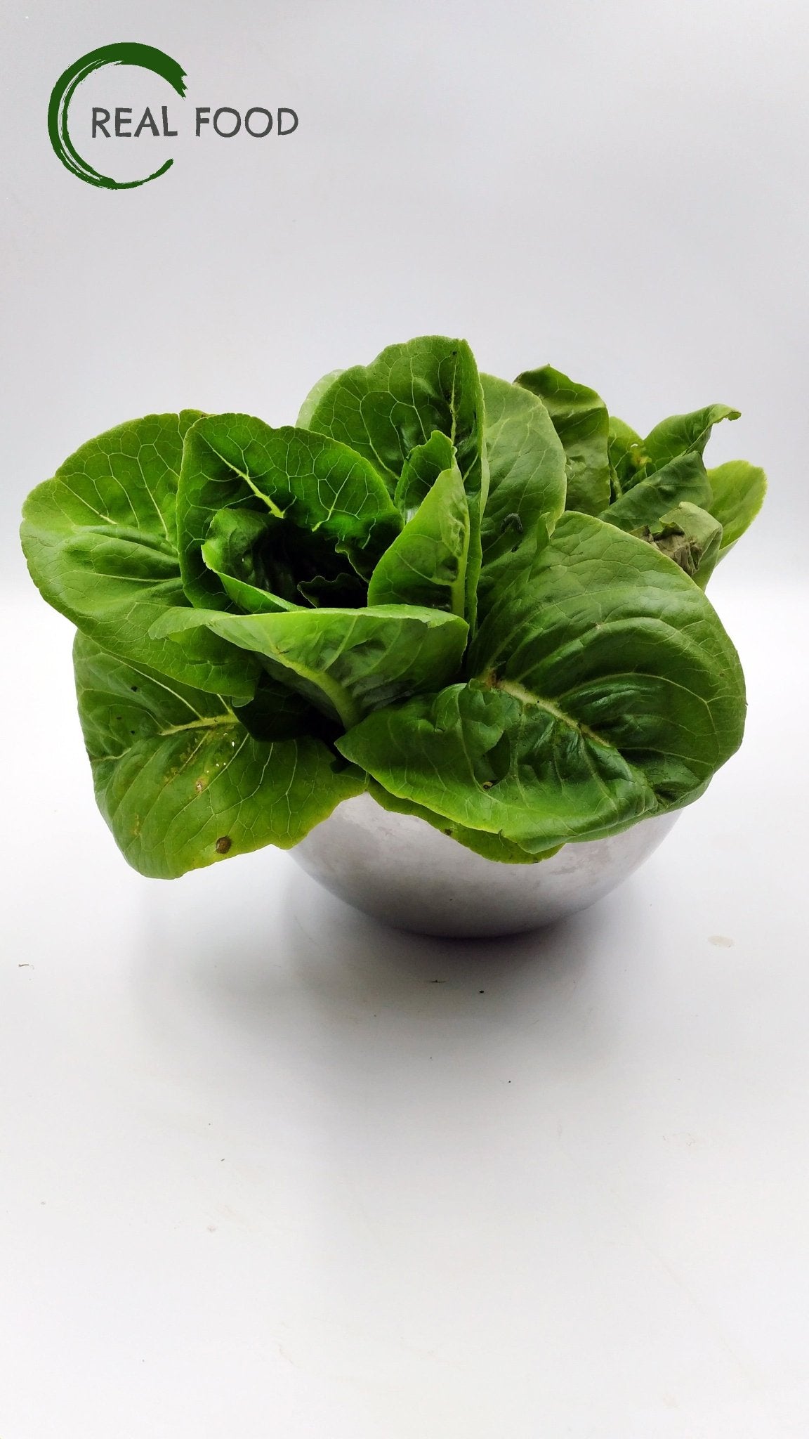 Cos, Baby, Lettuce, organic, ca. 250 g, Salad - Real - Food.shop