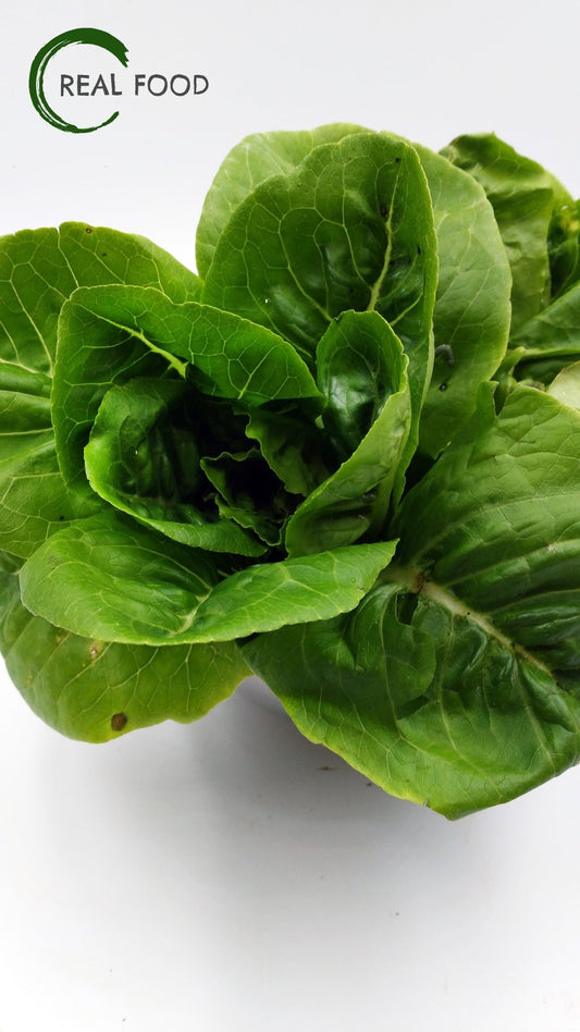 Cos, Baby, Lettuce, organic, ca. 250 g, Salad - Real - Food.shop