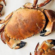 Crab Meat from the Atlantic Ocean, Wild Caught 350g - Real - Food.shop