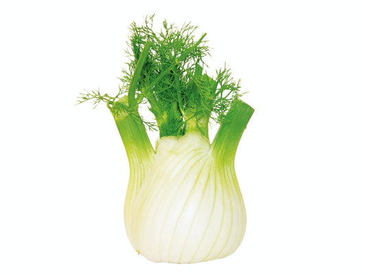 Fennel Head, no Leaves, Organic 250g. - Real - Food.shop