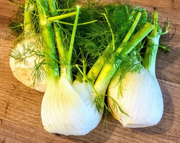 Fennel organic frozen, ca.250g - Real - Food.shop