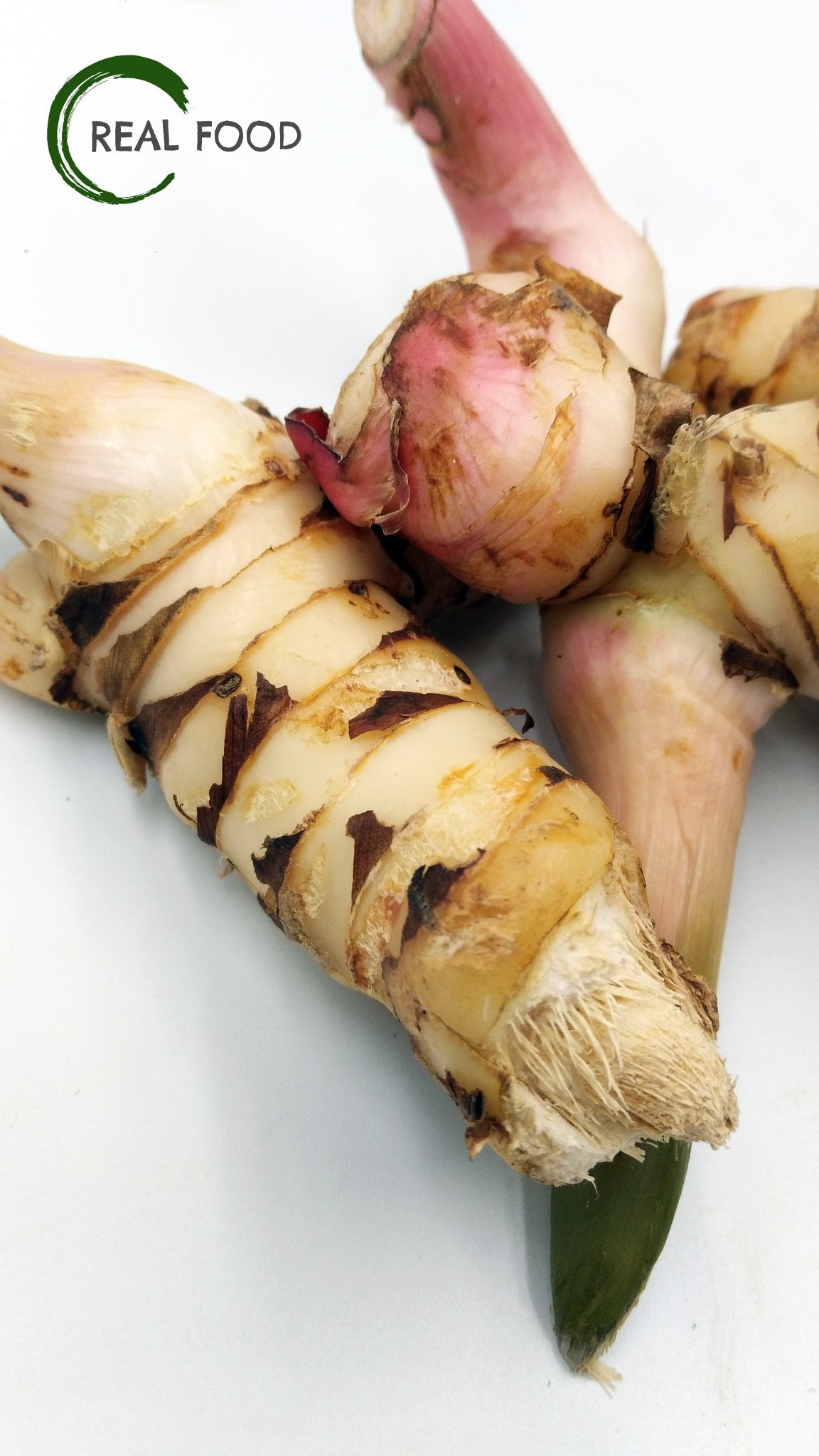 Galangal young, organic ca. 200 g - Real - Food.shop