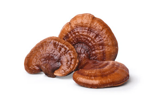 Reishi Mushroom, Natural Supplement, 60 Capsules - Real - Food.shop