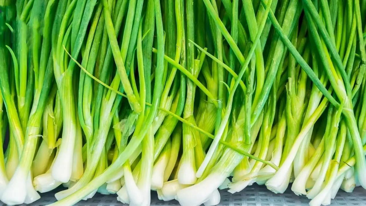 Spring Onion organic chopped frozen, 100g - Real - Food.shop