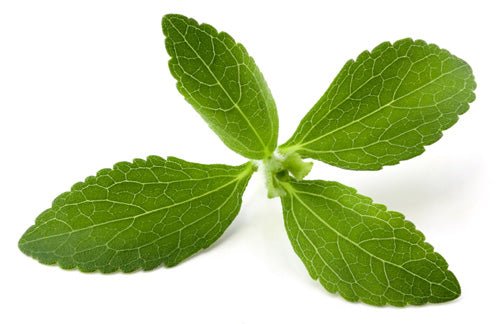 Stevia Leaves Dried, Organic 50g - Real - Food.shop