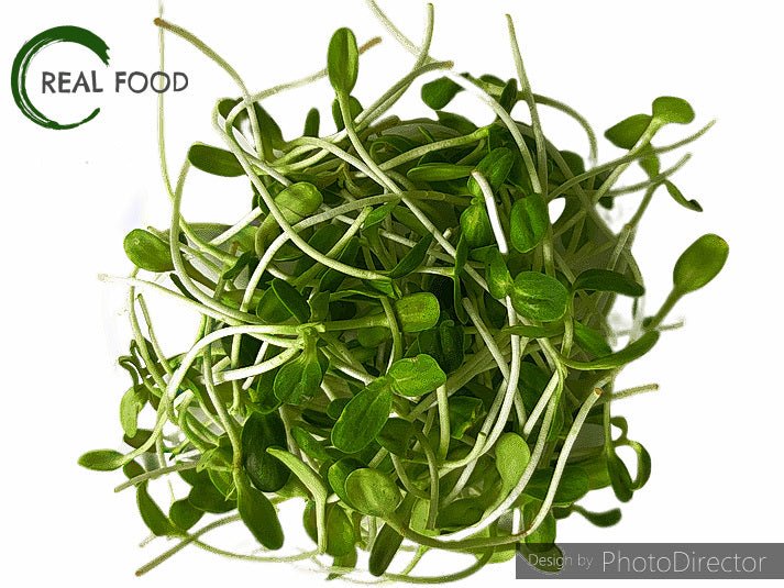 Sunflower Sprouts, organic, ca, 100 g - Real - Food.shop