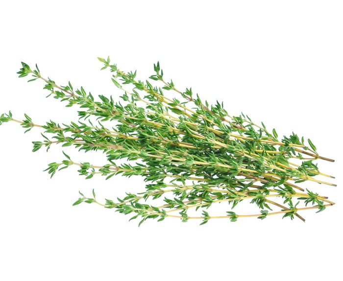 Thyme, fresh, organic local Thai 30 g - Real - Food.shop