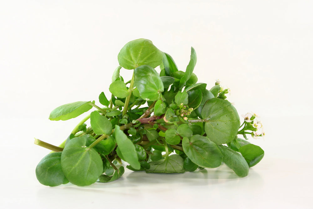 Watercress, organic, ca. 250 g